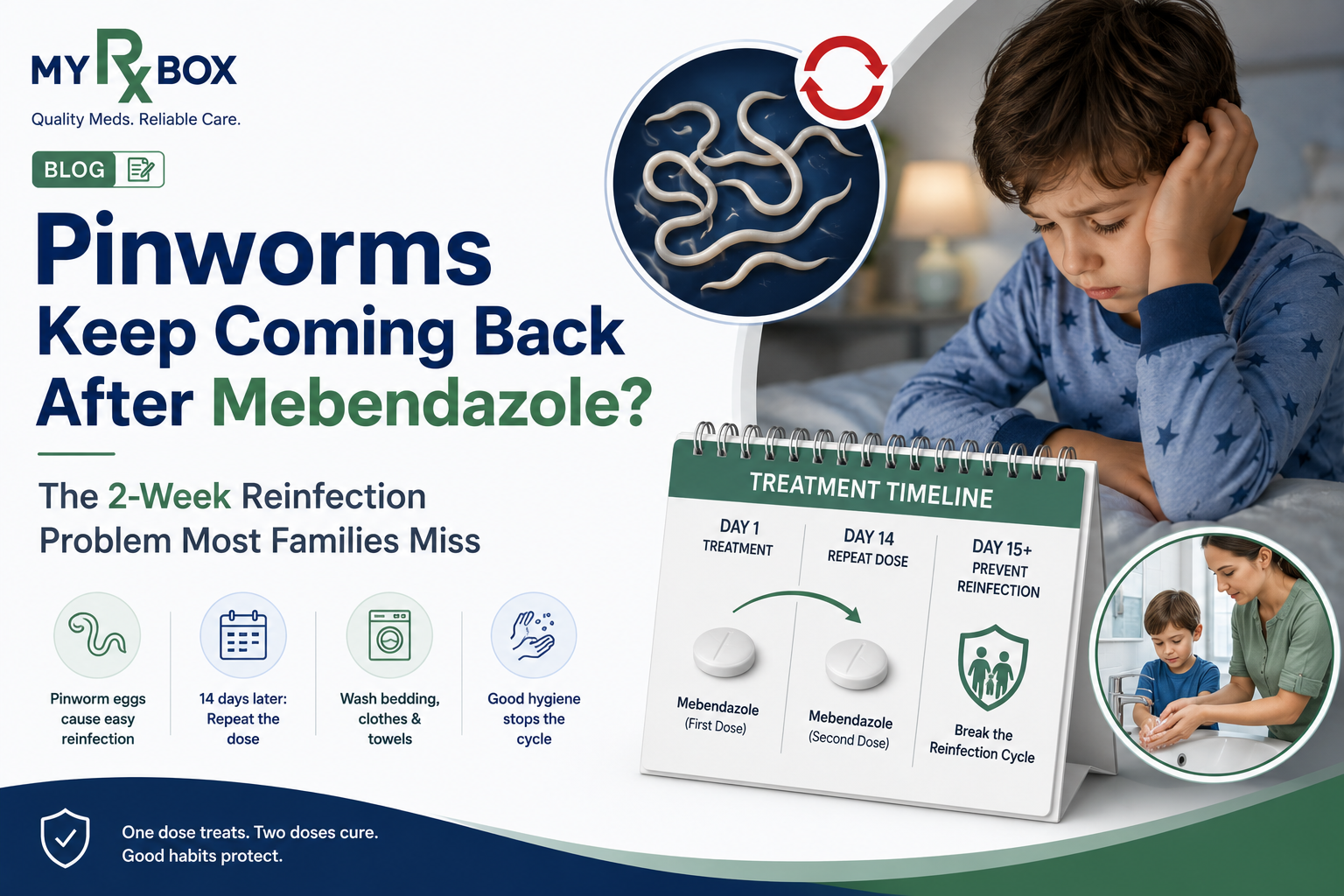 Mebendazole for Pinworms Why They Come Back & What to Know in 2026